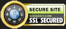 Godaddy - SSL (256 bit encryption)