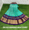 PSDHFSLG4V01SIDC15- Free Size Ikat Silk Lehenga