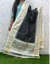 PSDHISDP4S23ZBCD41- Ikat silk dupatta