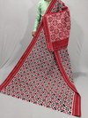 PSSIICTS4S19SBDC13- Ikat cotton saree