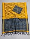 PSSISDST4V04ESCD20- Ikat sico dupatta with  sico top