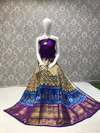 PLXHFSLG4V22BNDD08- Free Size Ikat Silk Lehenga