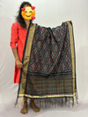 PSSISCDP4V25IBCD06- Ikat sico dupatta