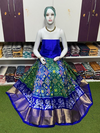 PSRGFSLG4V27SZDD01- Free Size Ikat Silk Lehenga