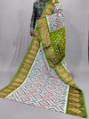 PSSIISCS4D17EECD04- Ikat Sico saree