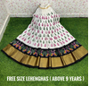 PSDHFSLG4V01SIDC01- Free Size Ikat Silk Lehenga