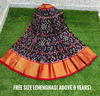 PSDHFSLG4V01SIDC20- Free Size Ikat Silk Lehenga