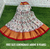 PSDHFSLG4V01SIDC12- Free Size Ikat Silk Lehenga