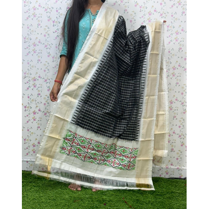 PSDHISDP4S23ZBCD41- Ikat silk dupatta