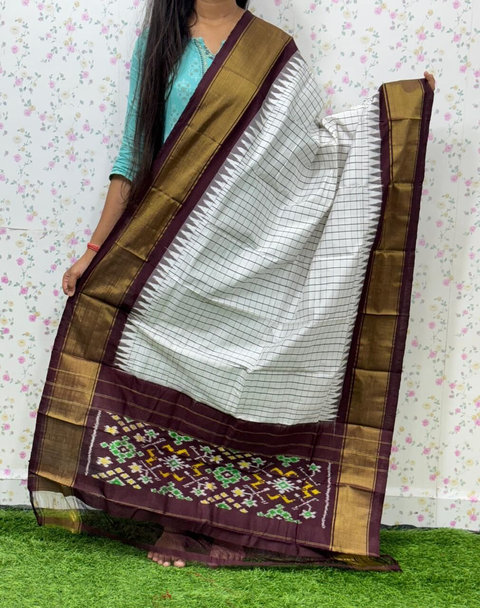 PSDHISDP4S23ZBCD25- Ikat silk dupatta