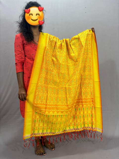 PSSISCDP4V25IBCD13- Ikat sico dupatta